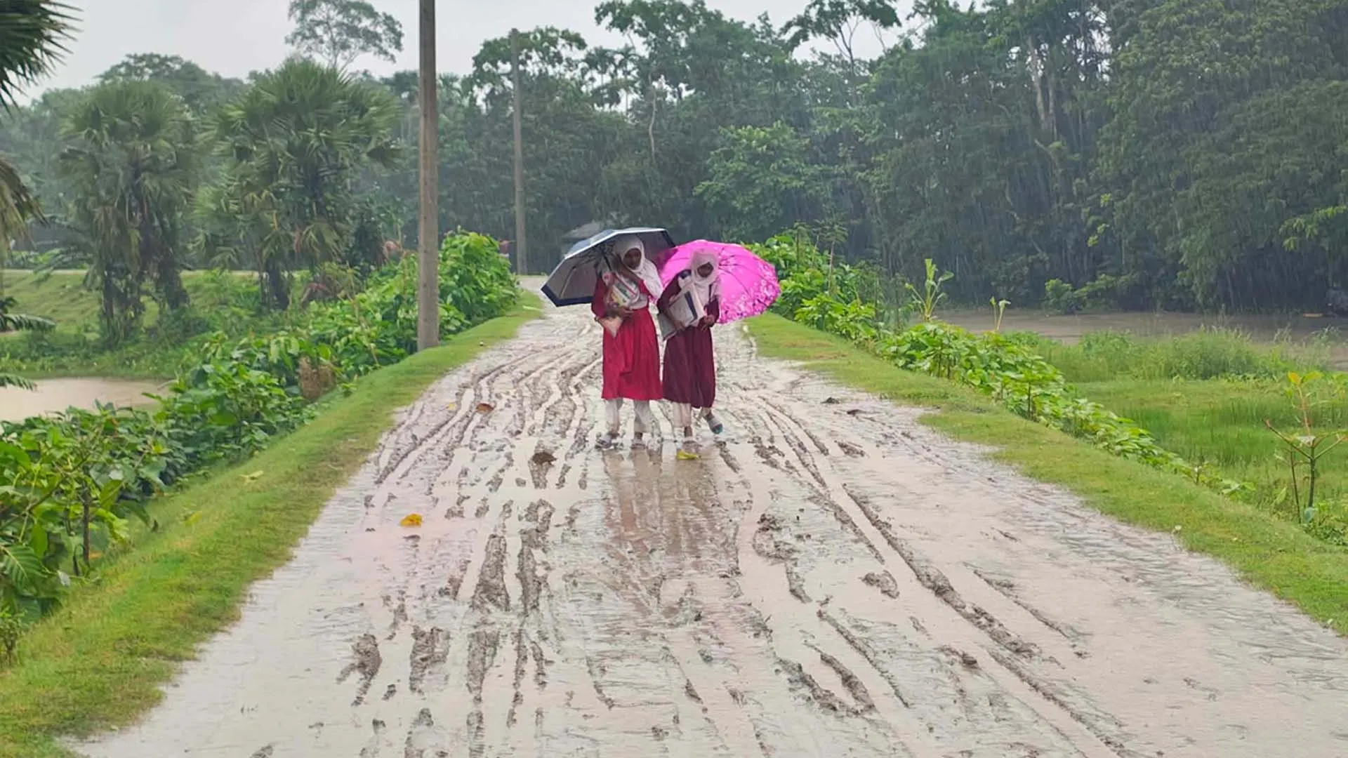 বাকেরগঞ্জ পাদ্রীশিবপুর ইউনিয়নের কানকি কাদা মাটির সড়কে চরম দুর্ভোগ